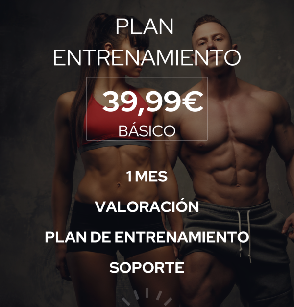 PLAN ENTRENAMIENTO